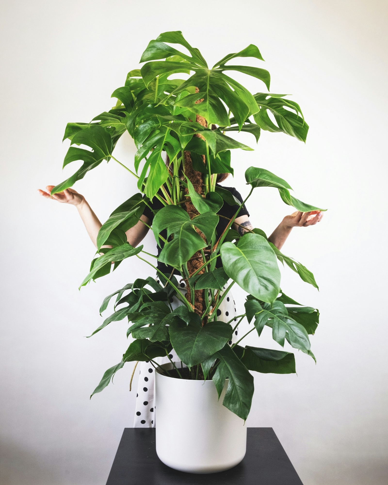 woman hiding behind tall monstera
